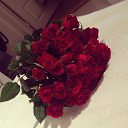 ���� ��������, ������ �������� - ��������� 29 ��� 2015 � ������ ������ ��������
