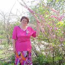 ���� �������, ������, 70 ��� - ��������� 3 ���� 2015 � ������ ���� ����������