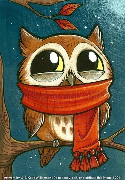 -  : Night person  sleepyhead    night owl    late riser  , ...
