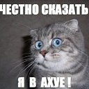 ���� �������, ������, 55 ��� - ��������� 7 �������� 2015 � ������ ��� � ����