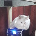 ���� ��������, ������, 33 ���� - ��������� 1 ������� 2015 � ������ �������