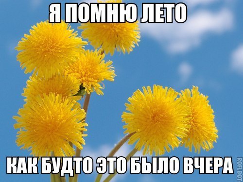 ? ,  ! - 3  2015  07:23