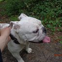 ���� �����, ������������, 48 ��� - ��������� 13 ���� 2015 � ������ ����������