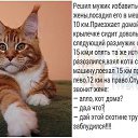 ���� ����, ����� - ��������� 21 �������� 2015 � ������ ������ ��������