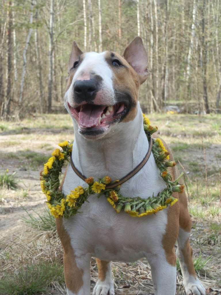 Пост красоты.(Фото из альбома группы )