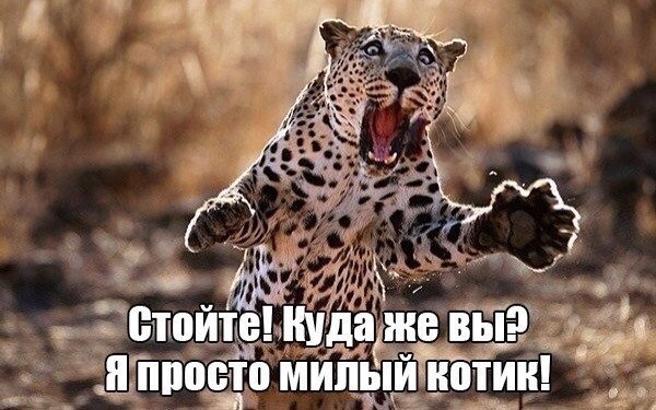   :D - 13  2015  05:40