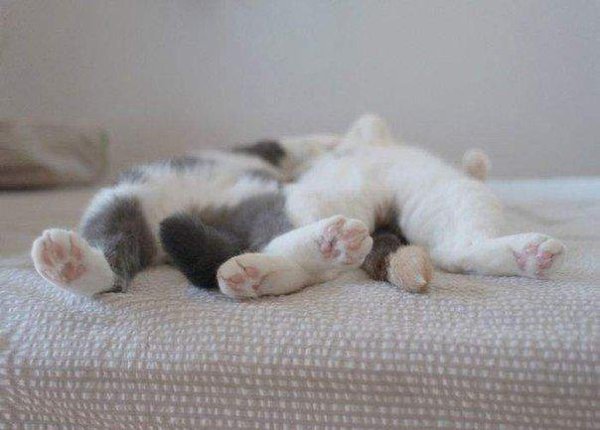 ...      :)