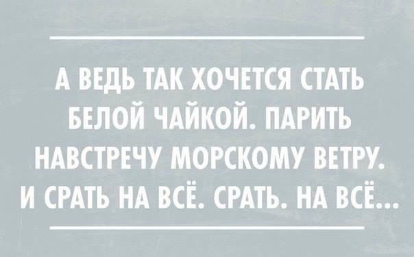  - 2  2015  21:30