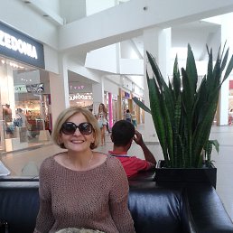 ���� ���������, ������, 71 ��� - ��������� 31 ������� 2015