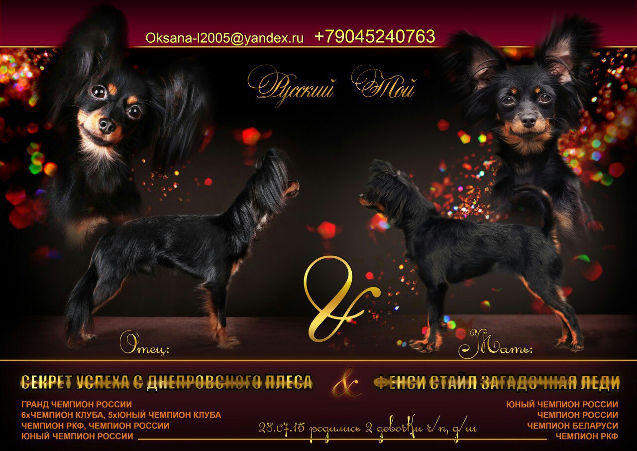 (city-106) - 22  2015  00:50
