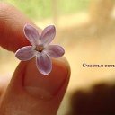 ���� ��������, ������, 57 ��� - ��������� 21 ���� 2015 � ������ ���� ����������