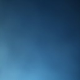 ������, ������, 41 ���