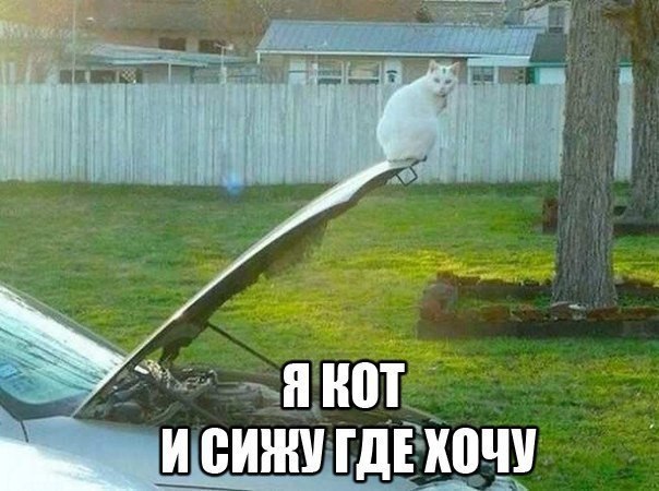  - 15  2015  14:54