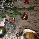 ���� Misha, �������, 41 ��� - ��������� 10 ���� 2015 � ������ ���� ����������