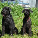 ���� ����, ������ ��������, 67 ��� - ��������� 25 ������� 2015 � ������ ���� ����������