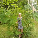 ���� �������, �����-���������, 57 ��� - ��������� 24 ���� 2015 � ������ ���� ����������