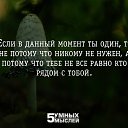 ���� �������, ���������, 54 ���� - ��������� 23 ������ 2015 � ������ ������ ��������