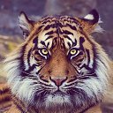 ���� �������, ������, 47 ��� - ��������� 1 �������� 2015 � ������ ���� ����������