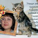 ���� �������, �����, 42 ���� - ��������� 27 ��� 2015 � ������ ���� ����������