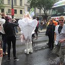���� ���������, ���� - ��������� 29 ���� 2015 � ������ ��������,,�.����..�