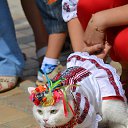 ���� ����, ���� - ��������� 23 ��� 2015 � ������ ������ ��������