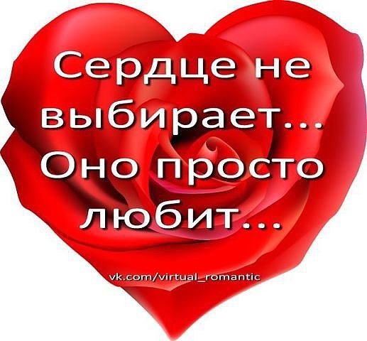 Чужая женщина — загадка для мужчины….Её так хочется… скорее разгадать… Ей всё к лицу, включая мелкие ...