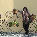 ���� �����, �����, 64 ���� - ��������� 31 ��� 2015 � ������ ���� ����������