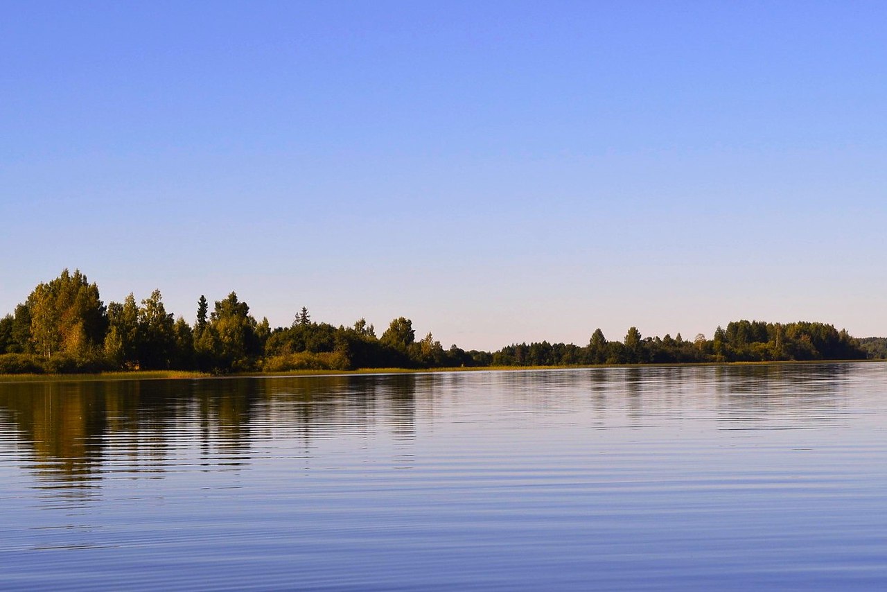 Окуловка озеро. Перетно озеро Новгородская область. Озеро Боровно Новгородская область. Боровно озеро Окуловский.