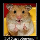 ���� ����, �������, 41 ��� - ��������� 14 ������� 2015 � ������ ���� ����������