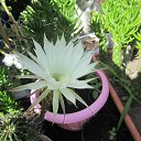 ���� ������, �������, 64 ���� - ��������� 28 ���� 2015 � ������ ������ ��������