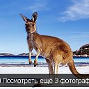 ������ � ���������� �� ������� ������ ��������