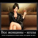 ���� �����, ���������, 41 ��� - ��������� 22 ������ 2015 � ������ ������ ��������