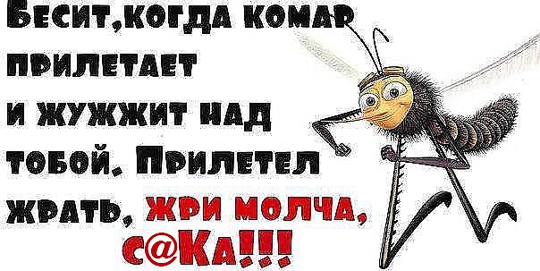 ��� - 22 ��� 2015 � 21:00
