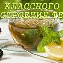���� ������, ���� - ��������� 15 ���� 2015 � ������ �������� ��������