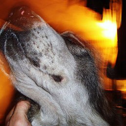 ���� ��������, ������, 53 ���� - ��������� 9 ���� 2015