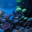 ���� ���������, �����, 27 ��� - ��������� 14 ���� 2015 � ������ ���� ����������