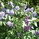 ������ ���, ����� � �����

�������� � ���� ����������.

�� � ��� �� ���� �������?

��, �������, � ���, � ������. �� ������� ���������� ������