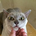 ���� Leo E., ������, 38 ��� - ��������� 15 ���� 2015