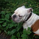 ���� �����, ������������, 48 ��� - ��������� 13 ���� 2015 � ������ ����������