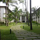    -  ,  -  4  2015    2014.  Ibis.  7-.