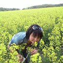  ,  , 57  -  12  2015    