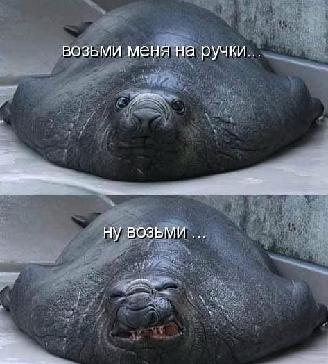   - 22  2015  18:09