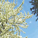 ���� ���������, ����������, 73 ���� - ��������� 28 ���� 2015 � ������ ��������� � ������