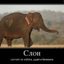  , , 63  -  2  2015    ))