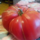  Oleg, , 50  -  28  2015