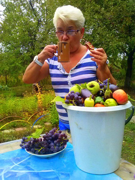 :    ... -  , 66 , 