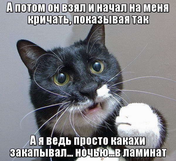       - 10  2015  23:30