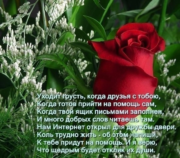   - 8  2016  12:23