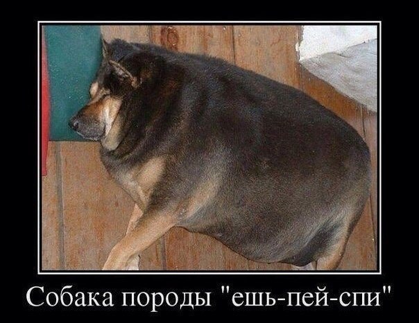    - 24  2016  20:53