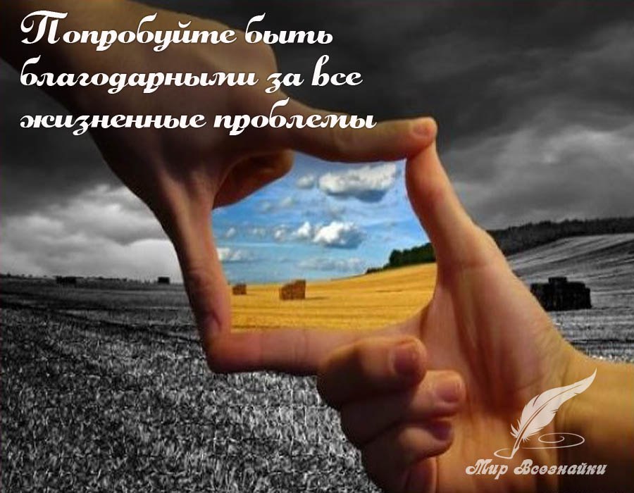 Тот, кто больше всех жалуется, достигает наименьшего.Всегда лучше попытаться что-то сделать и ...
